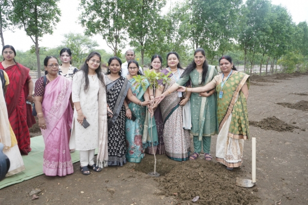सहकारिता विभाग ने पूरे छत्तीसगढ़ में 1 लाख वृक्षारोपण करते हुए उनकी सुरक्षा का संकल्प लिया