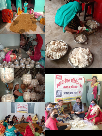 मशरुम उत्पाधन कर स्वावलंबी बन रही महिला