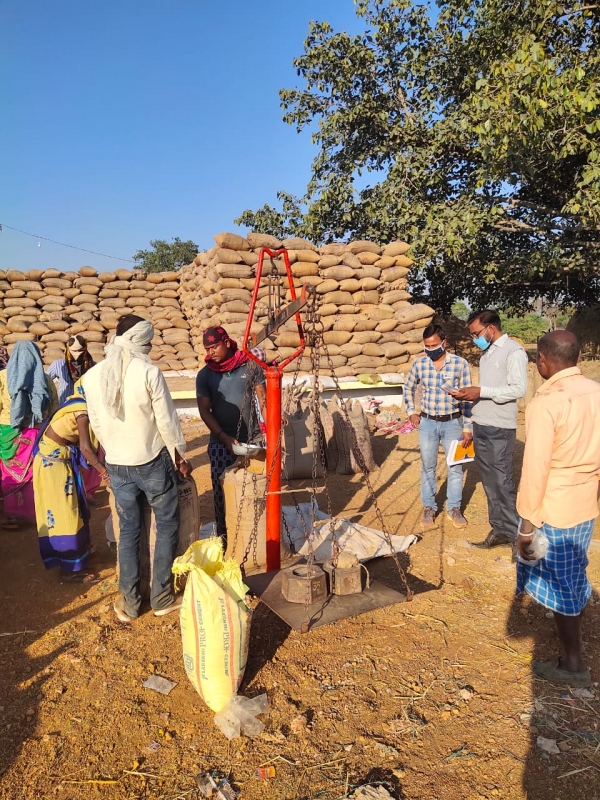 जिले मे इस बार 97 प्रतिशत किसानों ने धान उपार्जन किया